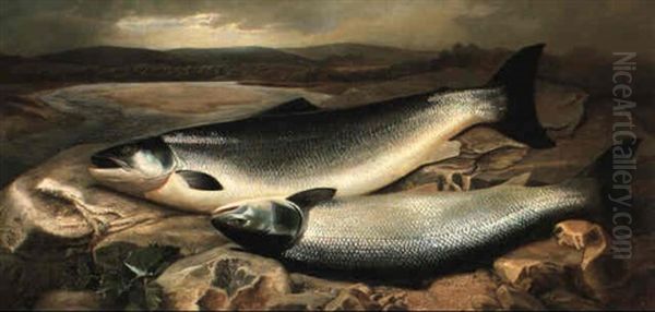 Salmon On A River Bank - view 1