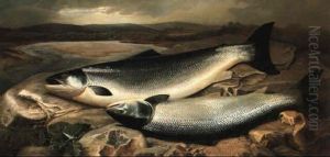 Salmon On A River Bank