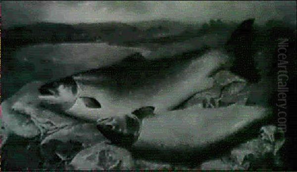 Two Prize Salmon On A River Bank - view 1