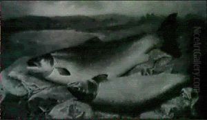 Two Prize Salmon On A River Bank Two Prize Salmon On A River Bank