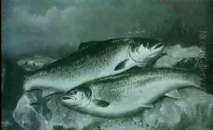 Two Salmon by John Bucknell Russell