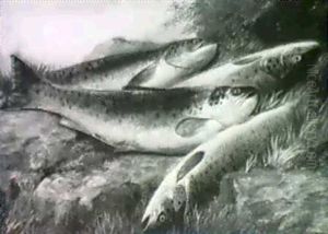 Trout by John Bucknell Russell