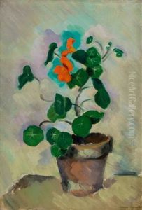 Capucines (nasturtiums)