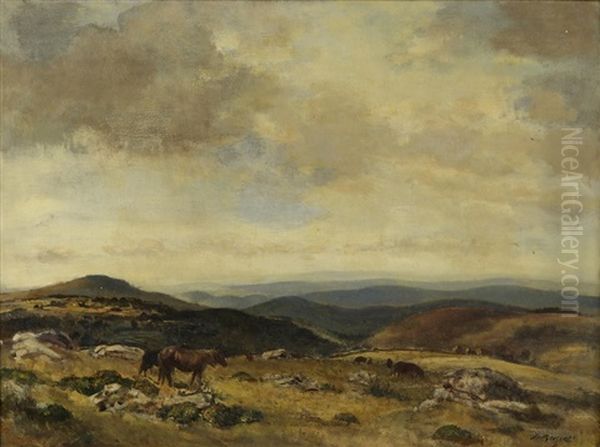 Dartmoor Landscape - view 1