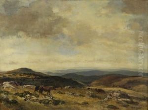 Dartmoor Landscape