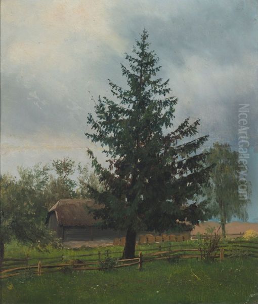 Spruce - view 1