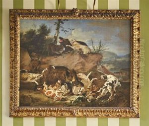 Combat Entre Un Grand Sanglier Et Une Meute De Chiens