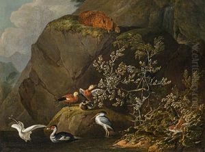 Birds In The Water