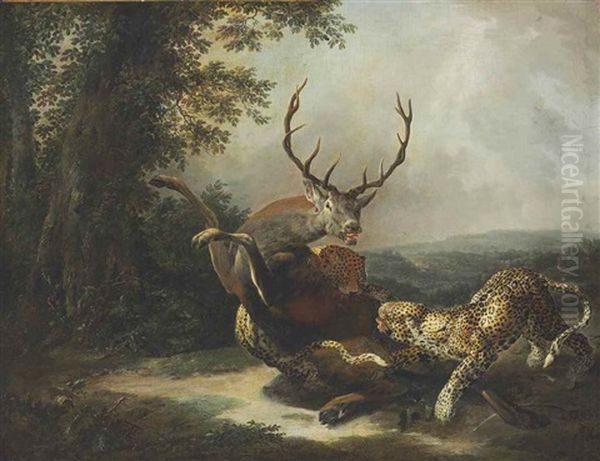 A Leopard Attacking A Stag In A Landscape - view 1