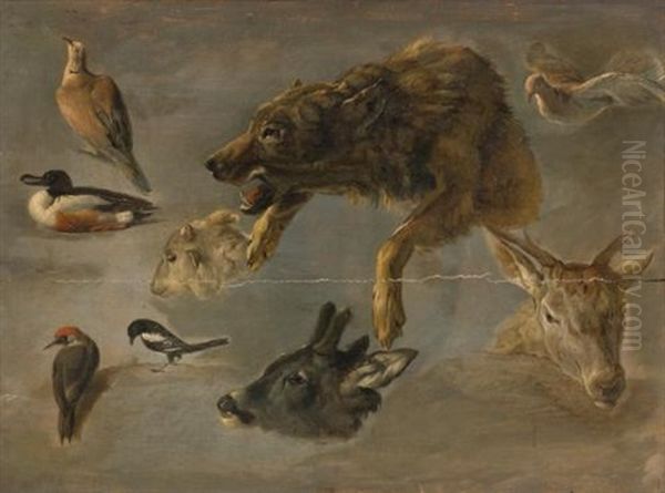Studies Of Animals And Birds - view 1