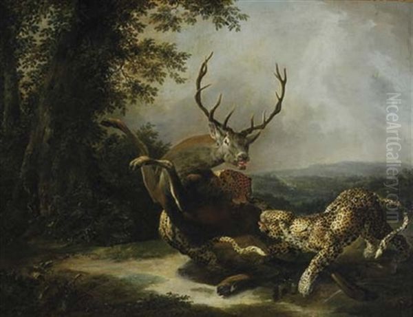 Leopards Attacking A Stag - view 1