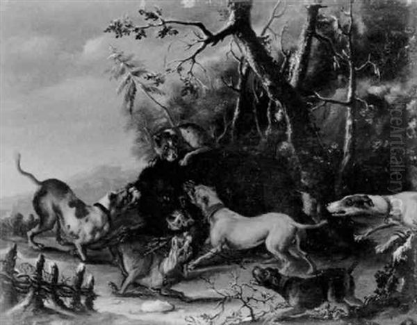 Hunde Einen Keiler Stellend - view 1