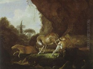 Kampf Zwischen Einem Leoparden Und Einem Zebra In Einer Waldlandschaft