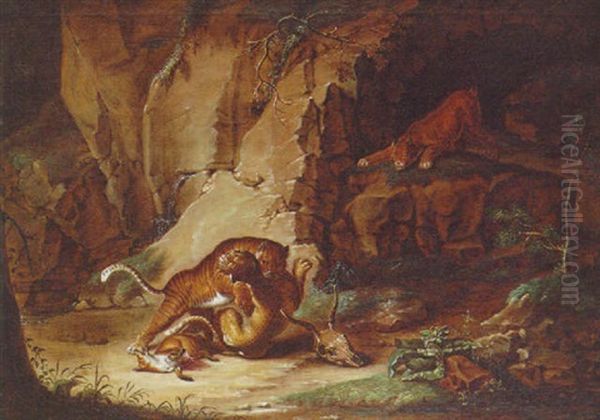 A Tiger Fighting A Leopard Over A Dead Fox In A Rocky Cavern With A Puma Looking On - view 1