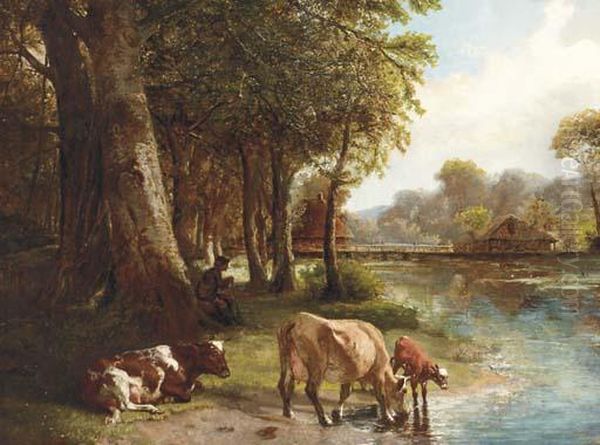 Cows Watering By The Rivers Edge - view 1