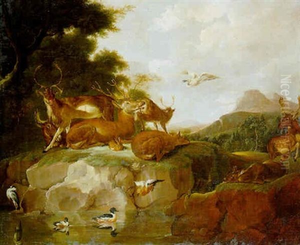 Animals Resting On A Bank, A Porcupine In A Gully And Ducks And A Heron In A Pond - view 1