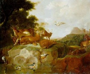 Animals Resting On A Bank, A Porcupine In A Gully And Ducks And A Heron In A Pond Animals Resting On A Bank, A Porcupine In A Gully And Ducks And A Heron In A Pond