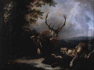 Cerf Attaque Par Deux Leopards