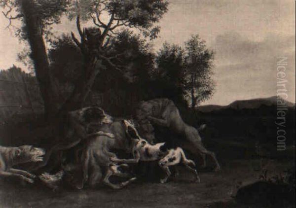 Eine Meute Jagdhunde Sich In Einen Wolf Verbeissend - view 1