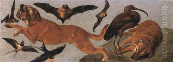 Studies Of Two Hunting Dogs, A Glossy Ibis, Three Bats And Two Swallows - view 1