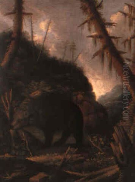 A Bear In A Mountainous Landscape - view 1