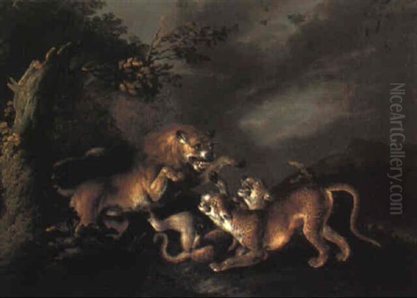 Lion Attacking, Two Leopards - view 1