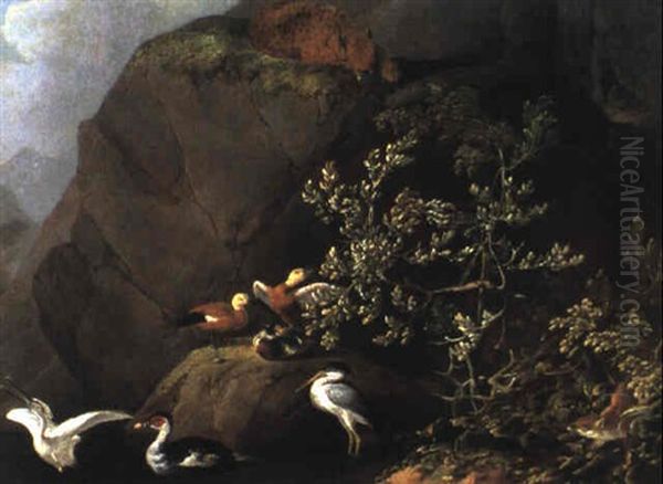 Gebirgslandschaft Mit Wasservogeln, Einem Luchs Und Einem Fuchs - view 1