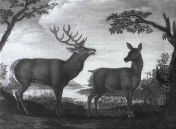 A Stag And Doe In A Wooded River Landscape - view 1