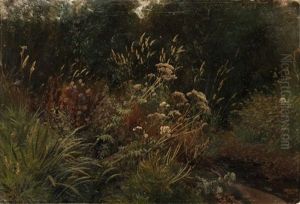 Pflanzenstudie by Johann Valentin Ruths