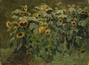 Sonnenblumen
