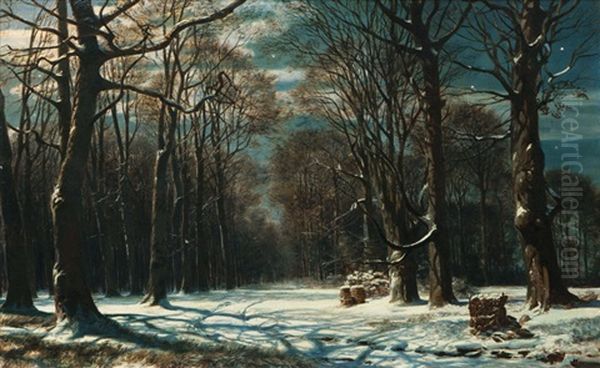 Night In A Winterly Forest - view 1