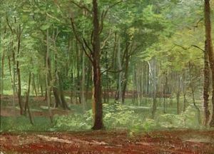 Fruhlingswald