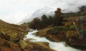Der Erste Schnee Im Hochgebirge