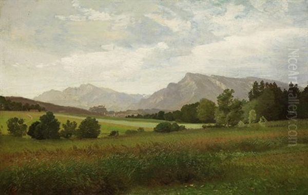 Salzburger Land - view 1