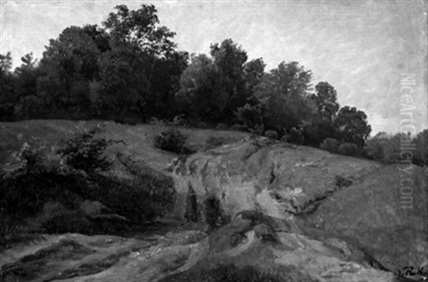 Sommerliche Landschaft - view 1