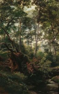 Umgesturzter Baum Am Waldbach