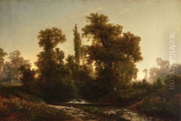 Waldlandschaft - view 1