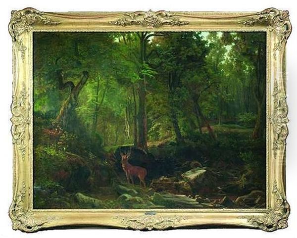 Waldinneres Mit Einem Hirsch An Einem Felsgesaumten Bachlauf - view 1