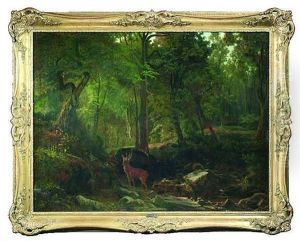 Waldinneres Mit Einem Hirsch An Einem Felsgesaumten Bachlauf