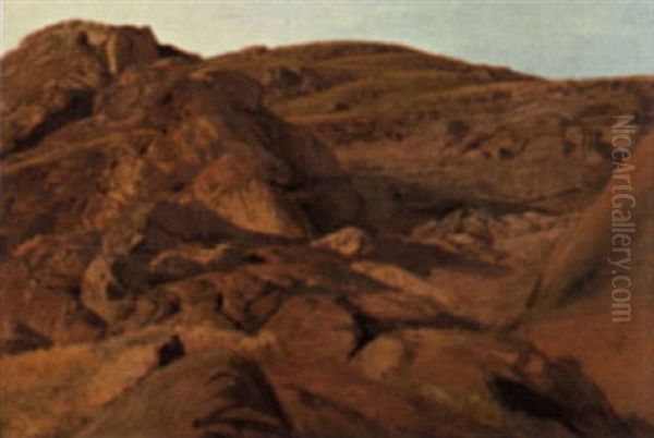Harzlandschaft - view 1