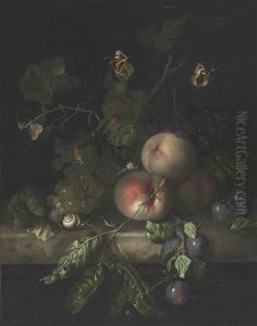 Peaches, Grapes, And Plums With A Dragonfly, Snail, Caterpillar, Moths, And Other Insects On A Stone Ledge by Rachel Ruysch