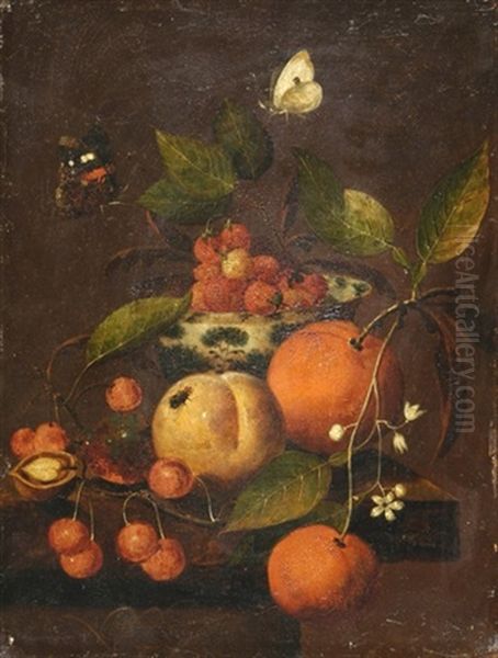 Stillleben Mit Fruchten, Schmetterlingen Und Fliege - view 1