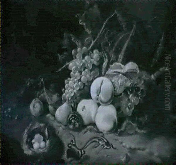 Nature Morte De Fruits, Nid, Lezard Et Insectes - view 1