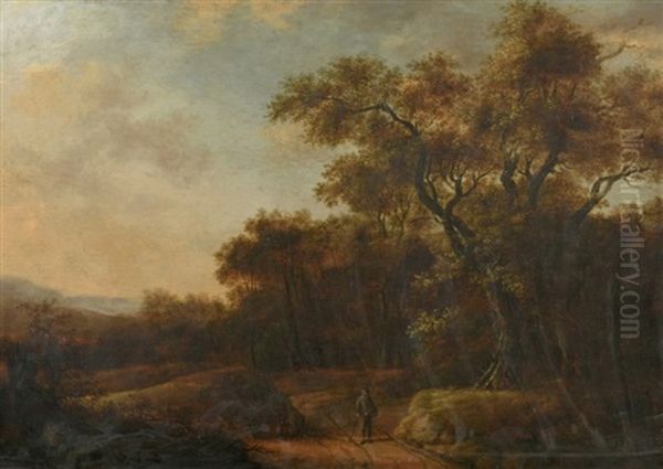Paysage De Foret Avec Un Promeneur - view 1