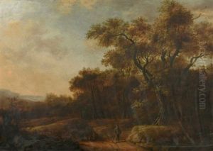 Paysage De Foret Avec Un Promeneur