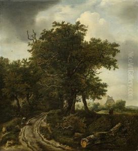 Bewaldete Landschaft Mit Weg Bewaldete Landschaft Mit Weg