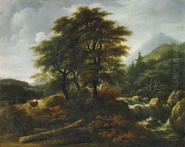 Wildbach Im Gebirge - view 1