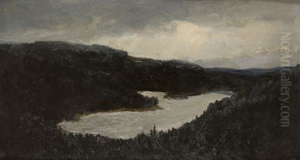Lesne Jezioro O Zmierzchu - view 1