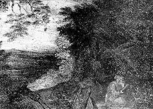 A Hermit Saint In The Wilderness by Marten Ryckaert