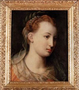 Flora